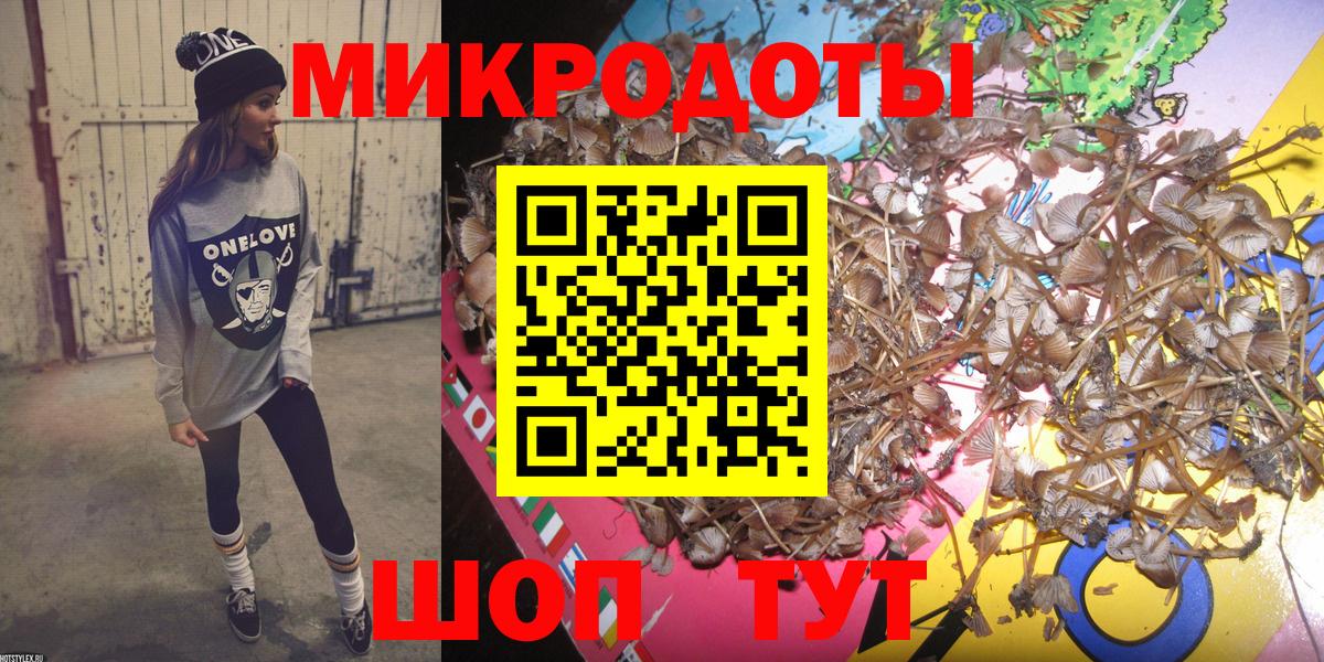 Галлюциногенные грибы Psilocybe Каспийск
